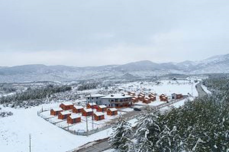 LogNikfer Bungalows